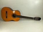 Hondo H310 (P25019664). Fixed Price $129.00.