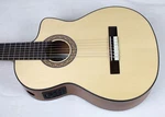 New Cathedral Model 107CEL Sp 7-STRING Classical Harp Guitar Cutaway, Sound Port. Fixed Price $995.00.