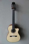 New Cordoba Fusion 14 Maple Nylon String Acoustic/electric Classical Guitar. Fixed Price $899.99.