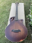 Sawtooth Rudy Sarzo Signature Acoustic-electric Bass Guitar. Fixed Price $599.00.