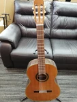Takamine NO.310 Classic Acoustic Guitar. Fixed Price $819.99.