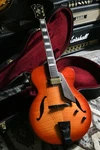 D'aquisto Dq-jz -jazz Line- Vlb Used Electric Guitar. Fixed Price $2408.87.