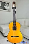 Fernandes GC-20 Grand Concert Classical Guitar. Fixed Price $1140.32.