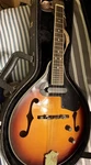 Fender 8-STRING Mandolin Electric Sunburst Hard Case Strap. Fixed Price $224.00.