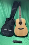 Spectrum Acoustic & Classic Guitar # Ail 38K Student Serial LS201410. Fixed Price $100.00.