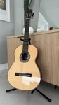 Cordoba C12 Sp, Nylon String Acoustic Classica Guitar - Spruce. Serial: 72102341. Fixed Price $1899.00.