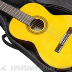 Aria Mini Classical Guitar 480MM Scale Spruce Top Sapele Sides & Back. Fixed Price $641.69.