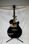 Takamine EG541C Acoustic Electric Guitar- Black. Fixed Price $394.95.