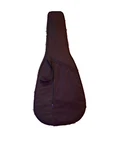 Johnson Acoustic/electric Guitar JG-650-TBL. Fixed Price $180.00.