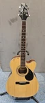 Samick Greg Bennett GOM-100SCEPK/N Acoustic Guitar. Fixed Price $215.99.
