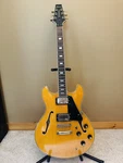 Aria Pro Ii TA-62 Semi Hollow Body Electric Guitar Hardshell Case-maple-excelent. Fixed Price $500.00.