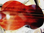 Lyle CD-366 Classical Guitar, Nice Vintage "exotic Braziliian Rosewood" + Case. Fixed Price $699.00.
