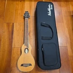 Washburn Travel Guitar Rover RO10. Fixed Price $516.99.