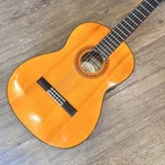 Asturias Model Classical Guitar Cedar Top Rosewood Sides Back 650MM Scale. Fixed Price $660.29.
