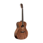 Jn Guitars Dovern Series James Neligan Auditorium Acoustic Dov-a. Fixed Price $369.99.