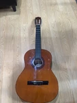 Stagg Acoustic Guitar Model 542 With Case Complete. Fixed Price $140.00.