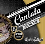 Cantata Classical Guitar Strings Medium Tension Carbon - Silver Plated Copper. Fixed Price $17.62.