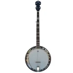 Danville BJ-009 Banjo. Fixed Price $399.95.