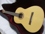 Karlhofner HM65-F Acoustic Guitar. Fixed Price $1077.99.