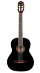 Ortega Guitars 6 String Family Series Size Nylon Classical W/bag R221SNB. Fixed Price $339.99.