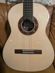Steve Allen #62 Classical Guitar All-solid Spruce Indian Rosewood. Fixed Price $1220.00.