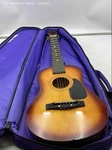 First Act FG-130 Discovery Series Right-handed Small Acoustic Guitar In Gig Bag. Fixed Price $7.99.