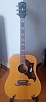 Ibanez 58028 (693) Concord Dove Rare Mij Lawswit Acoustic Guitar. Fixed Price $1045.71.