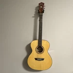 Washburn Apprentice AF5K-A-U Parlor 6-STRING Mahogany Natural W/ Hard Case. Fixed Price $300.00.