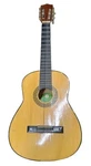 Skylark Brand Acoustic Guitar Vintage Collectible Musical Instrument. Fixed Price $280.95.