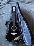 Esteban Rock Limited Edition Crystal Heart Acoustic Guitar W/hardshell Case. Fixed Price $299.99.