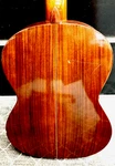 Lyle C-640 Acoustic Classical Guitar Nice "exotic Solid Coral Rosewood" + Case. Fixed Price $499.00.