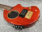 Fernandes Digi-zo Hyper Guitar With Built-in Multi-effects Amp Simulation. Fixed Price $932.78.
