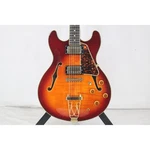 Aria Pro Ii TA-02 Electric Acoustic Guitar. Fixed Price $808.99.