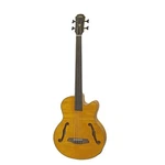 Aria Medium Scale Fretless Acoustic Electric Bass Guitar Stain Brown FEB-F2M/FL. Fixed Price $579.00.