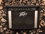 Peavey Audition Chorus 2 X 6 Inch Speakers Guitar Amplifier Great Sound. Fixed Price $139.95.