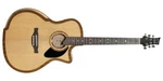Riversong P2P-GA The Pacific Acoustic-electric Guitar Heavy Duty Gig Bag. Fixed Price $1499.99.