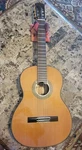 Antonio Giuliani CL-6 Classical Acoustic Guitar Kennedy Violin Excellent Cond. Fixed Price $340.00.