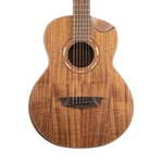 Washburn GM55 Koa Grand Auditorium Acoustic Guitar, Top. Fixed Price $479.00.