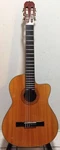 Sunlite GCN-1630GBCP 4/4 Sized Classical Cutaway/eq Gig Bag-tuner Free Shipping!. Fixed Price $279.00.