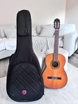 Classical Guitar, Natural Wood Finish, 5 Nylon Strings, Brown, Gig Bag. Fixed Price $160.00.