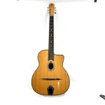 Gitane Guitar. Fixed Price $950.00.
