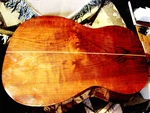 Giannini Awn 20 Classical Guitar, Exotic Figured Tonewood, Parlor Size. Fixed Price $299.00.