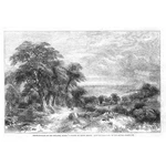 Timber Clearing On Hill Side Sussex By Henry Jutsum - Antique Print 1856. Fixed Price $13.51.
