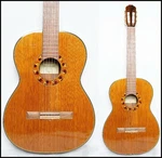Classical Acoustic Guitar Takamine TGL1 Japan Cedar Solid Top. Fixed Price $653.00.