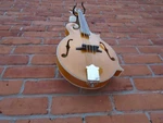 Rover RM-75 Mandolin W.bag. Fixed Price $490.91.