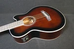 Ibanez AEB10E Dvs Acoustic-electric Bass Guitar Sunburst Fishman Pickup. Fixed Price $289.99.