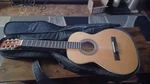Hola! Guitars 36" HG-36GLS Case And Picks Included. Fixed Price $85.00.