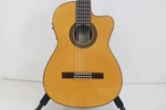 Aria AC-50-CE (NO260531). Fixed Price $680.00.
