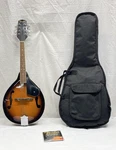 Fender FM-100 Sunburst A-style Mandolin W/ Soft Case. Fixed Price $178.00.