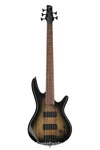 Ibanez Gio GSR205SMNGT Bass Guitar - Spalted Maple, Natural Grey Burst. Fixed Price $349.99.